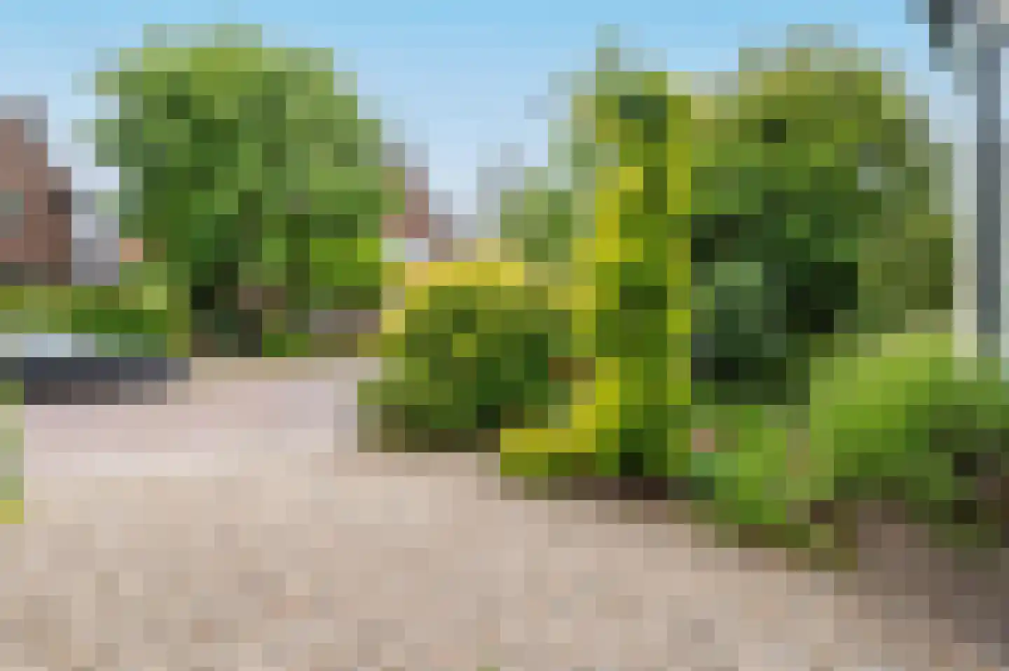 Roemer Visscherlaan 86 Zeist thumbnail 59