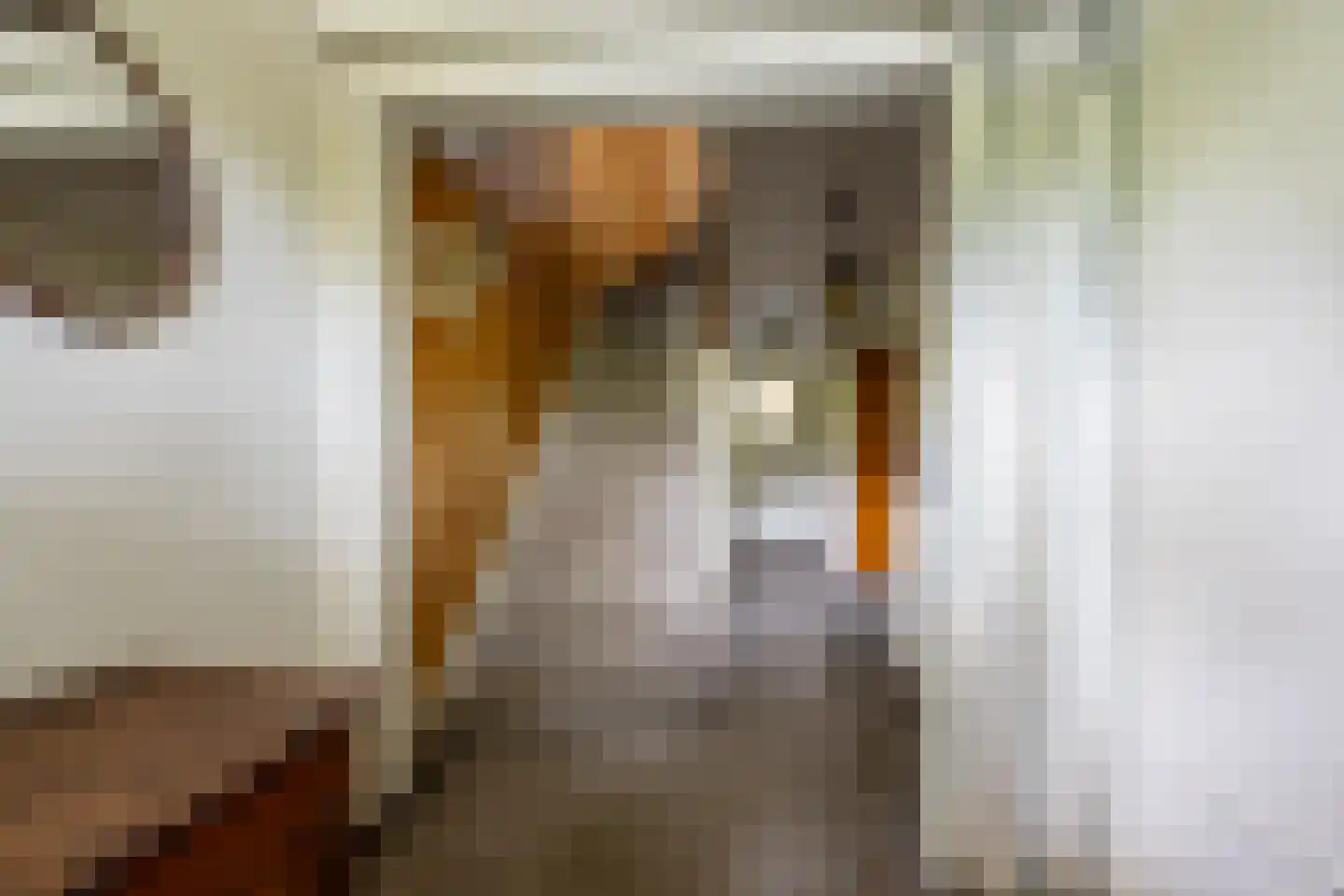 Roemer Visscherplein 13 Heemstede thumbnail 13