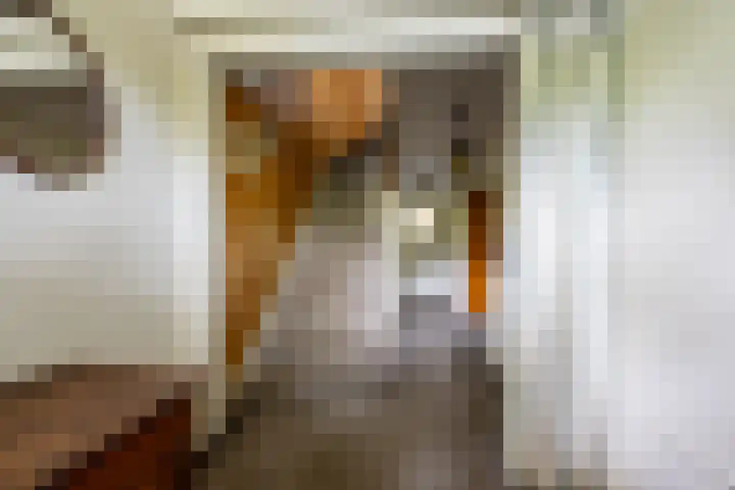 Roemer Visscherplein 13 Heemstede thumbnail 13