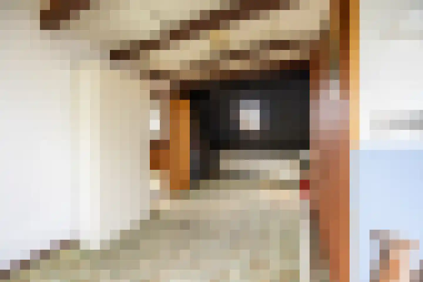 Roemer Visscherplein 13 Heemstede thumbnail 30