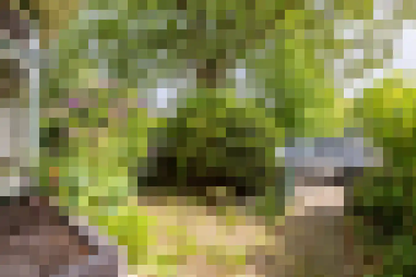 Roemer Visscherplein 13 Heemstede thumbnail 31