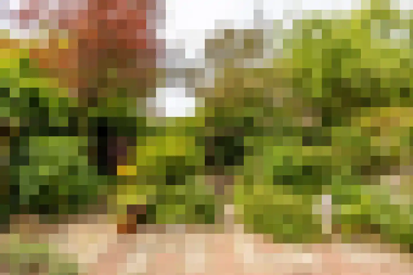Roemer Visscherplein 13 Heemstede thumbnail 32