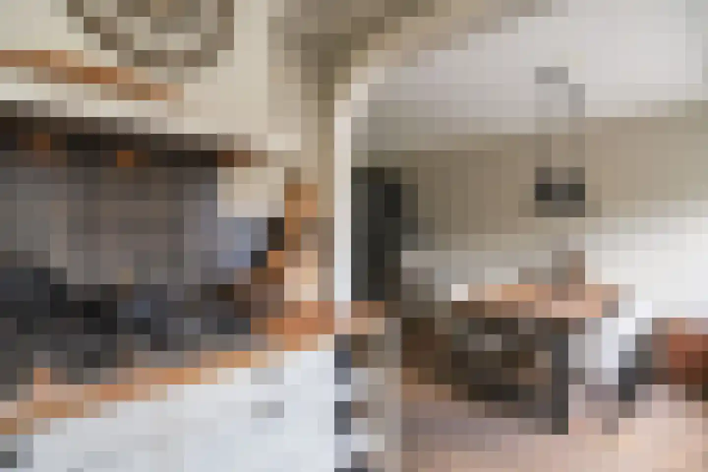 Roemer Visscherstraat 1 Alblasserdam thumbnail 10