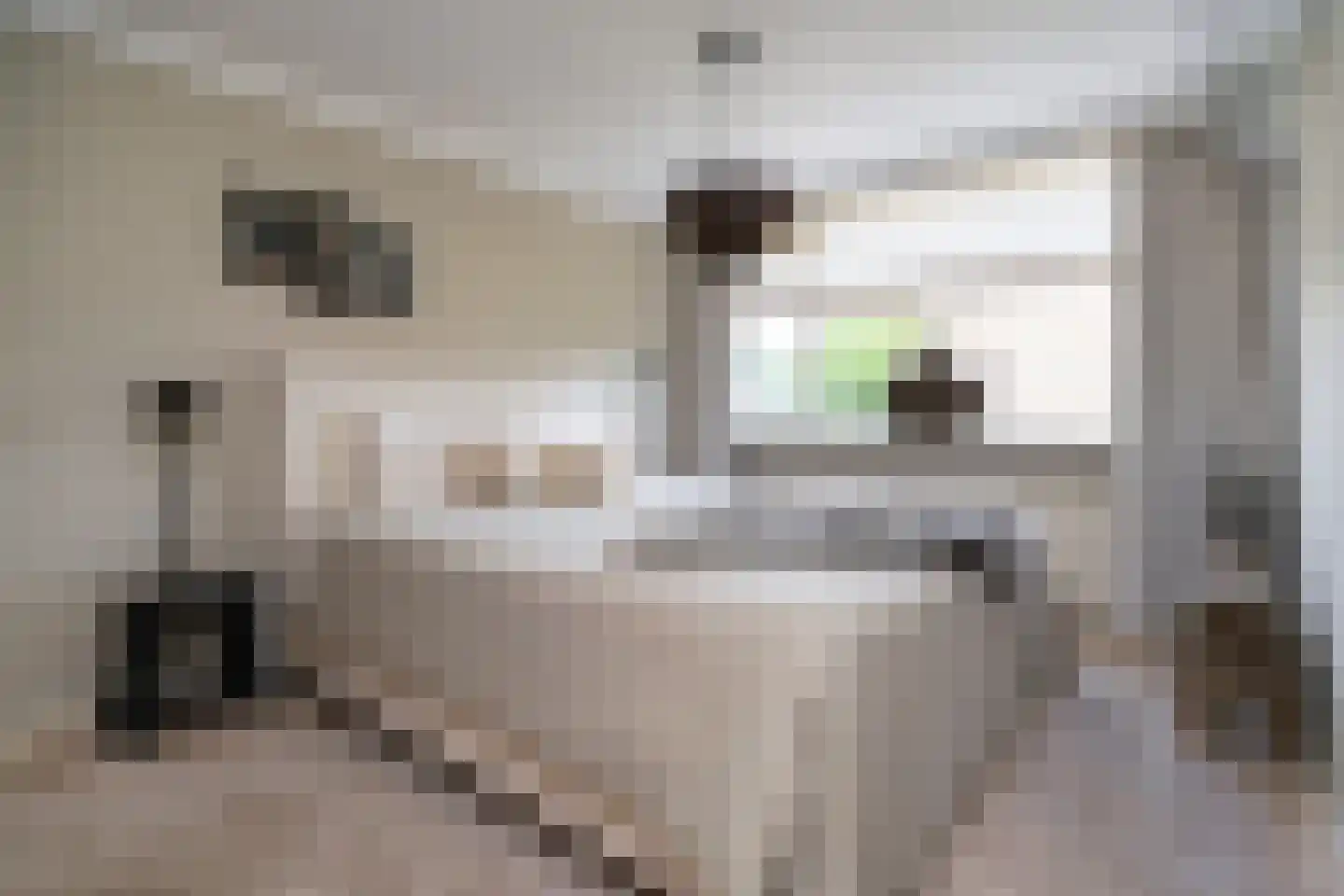 Roemer Visscherstraat 1 Alblasserdam thumbnail 19