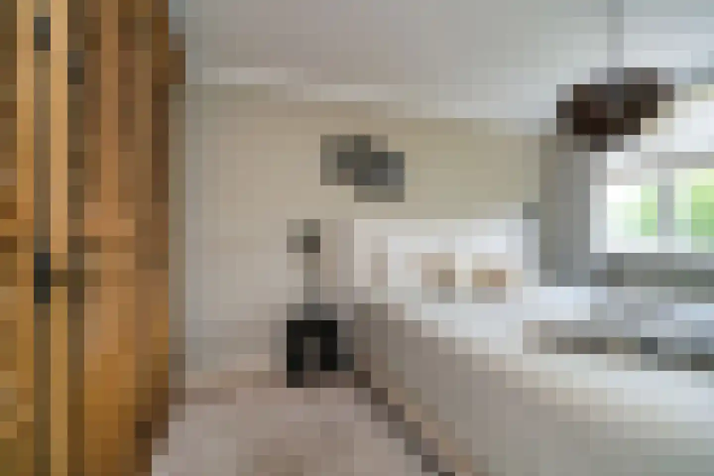Roemer Visscherstraat 1 Alblasserdam thumbnail 20