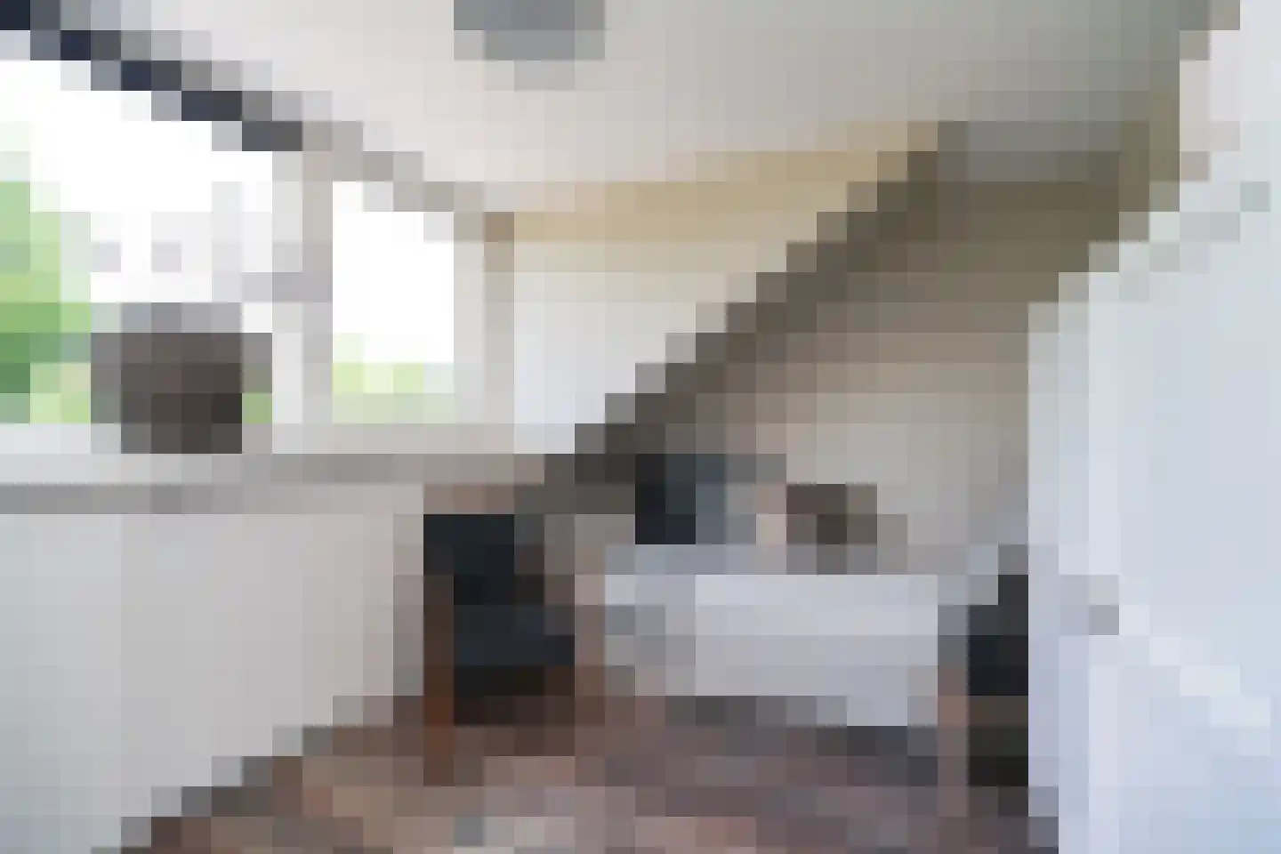 Roemer Visscherstraat 1 Alblasserdam thumbnail 30