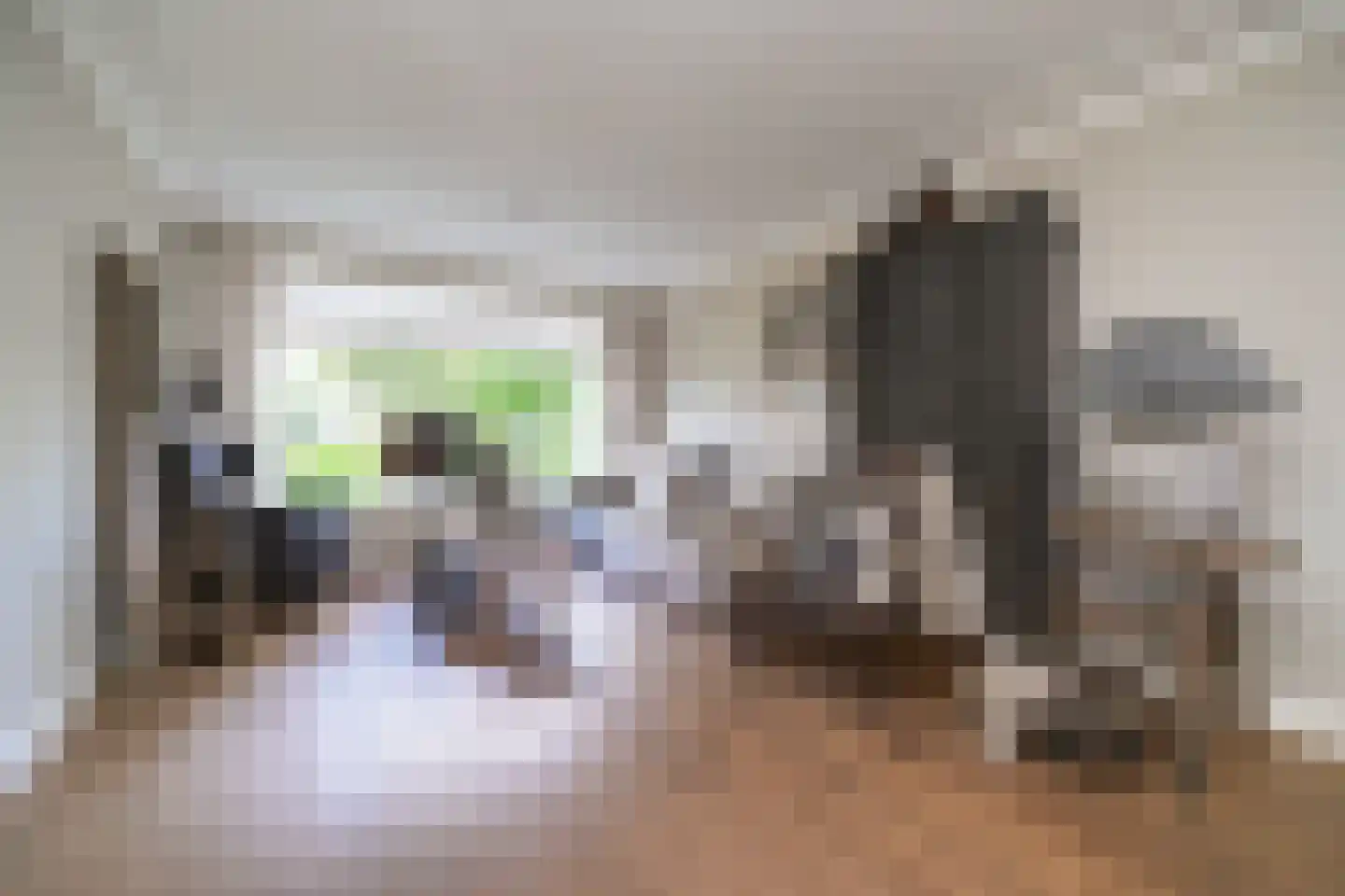 Roemer Visscherstraat 1 Alblasserdam thumbnail 4