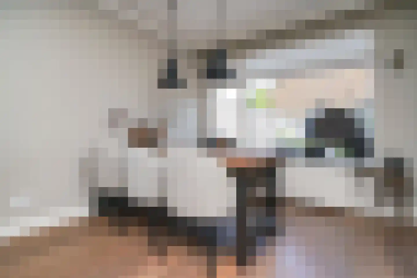Roemer Visscherstraat 1 Alblasserdam thumbnail 7