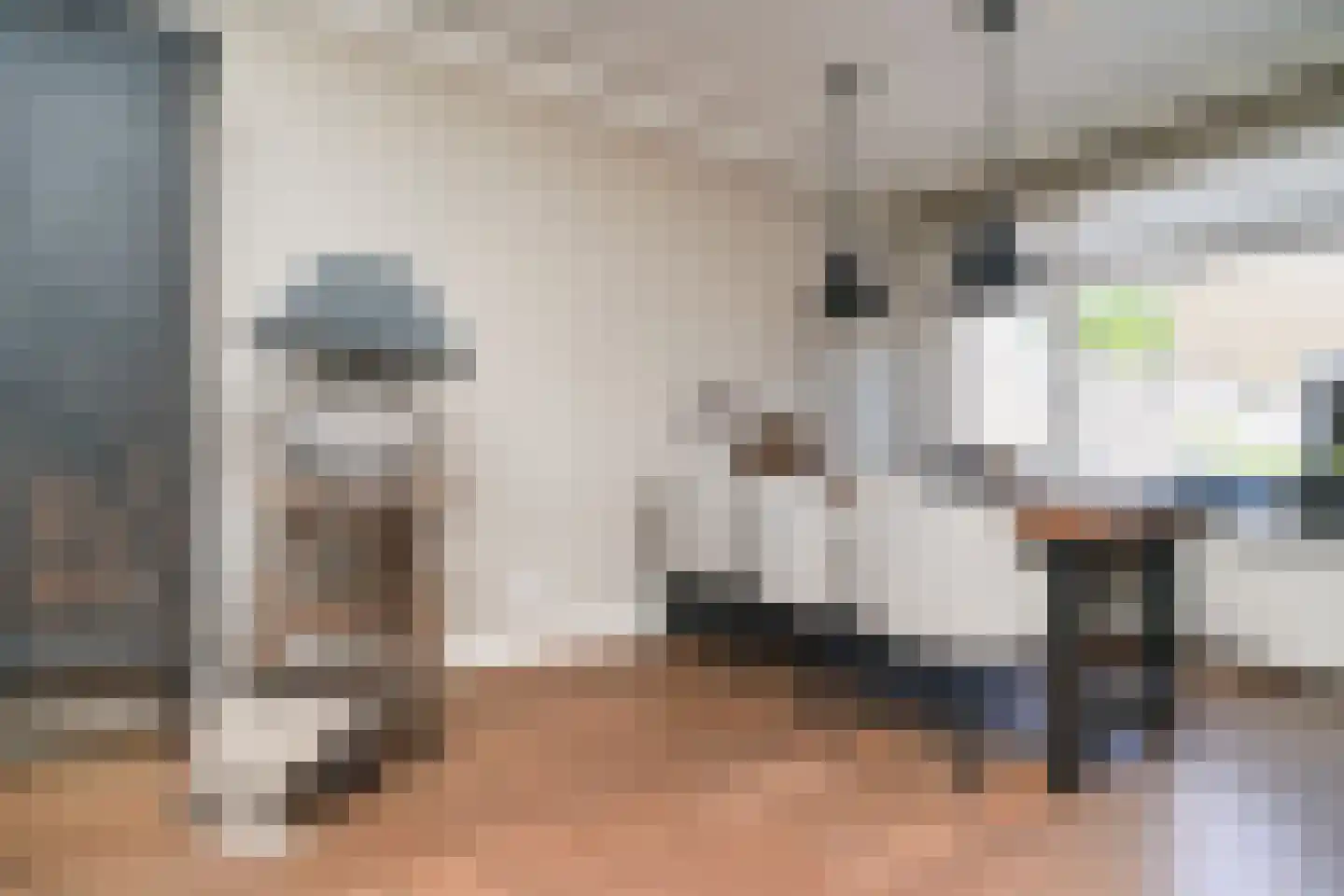Roemer Visscherstraat 1 Alblasserdam thumbnail 8