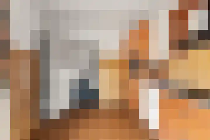 Roemer Visscherstraat 1 Beek thumbnail 10