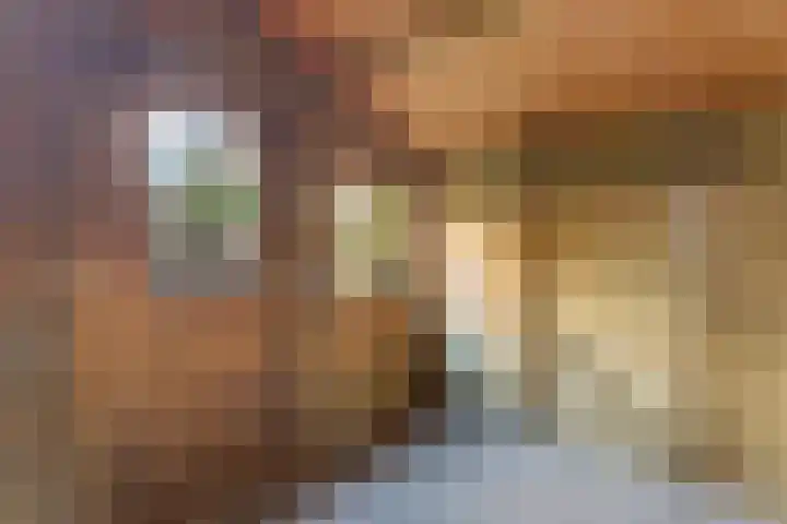Roemer Visscherstraat 1 Beek thumbnail 30