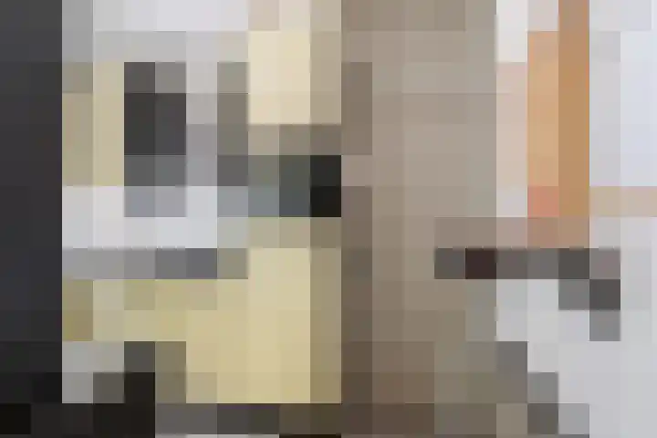Roemer Visscherstraat 1 Vlaardingen thumbnail 16