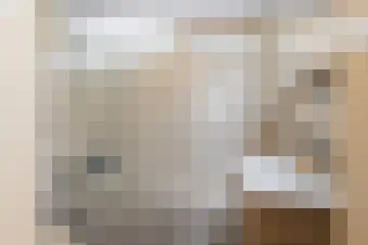 Roemer Visscherstraat 1 Vlaardingen thumbnail 33