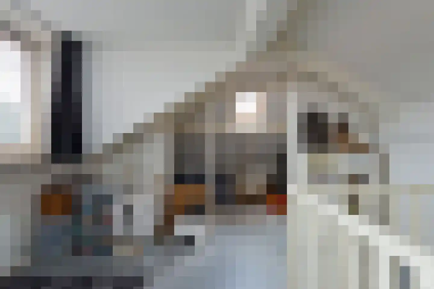 Roemer Visscherstraat 10 Arnhem thumbnail 47