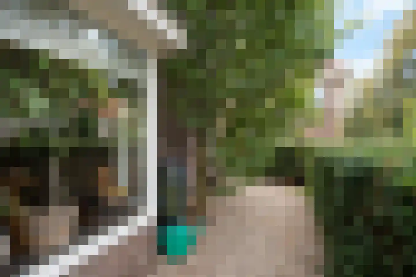 Roemer Visscherstraat 10 Arnhem thumbnail 5