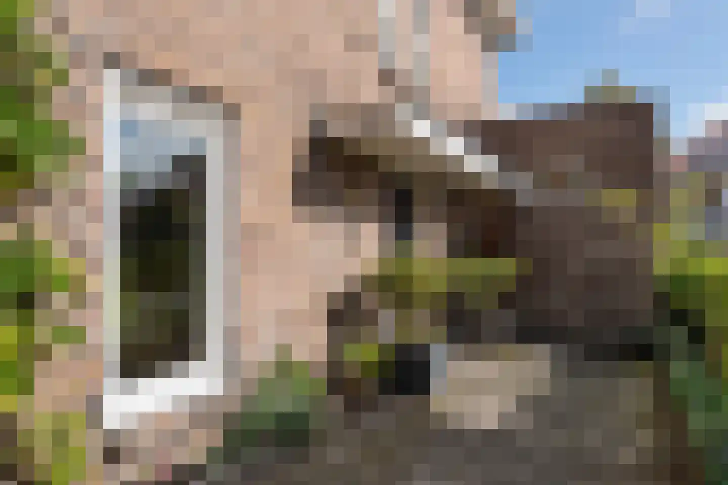 Roemer Visscherstraat 10 Arnhem thumbnail 6