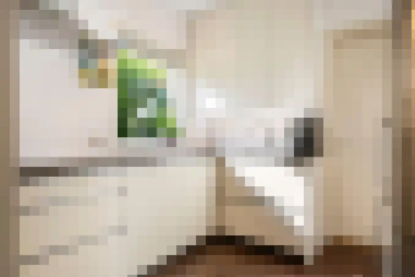 Roemer Visscherstraat 11 Arnhem thumbnail 18