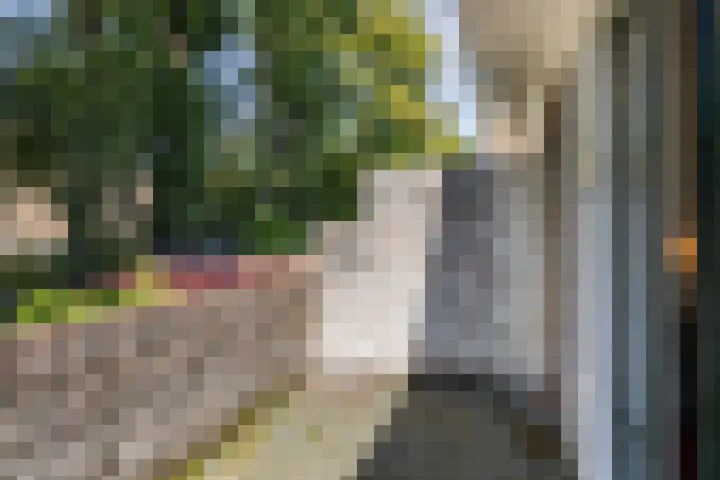 Roemer Visscherstraat 11 Arnhem thumbnail 27