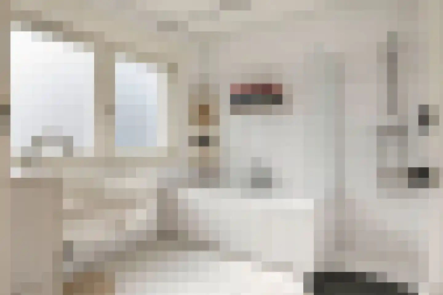 Roemer Visscherstraat 11 Arnhem thumbnail 31