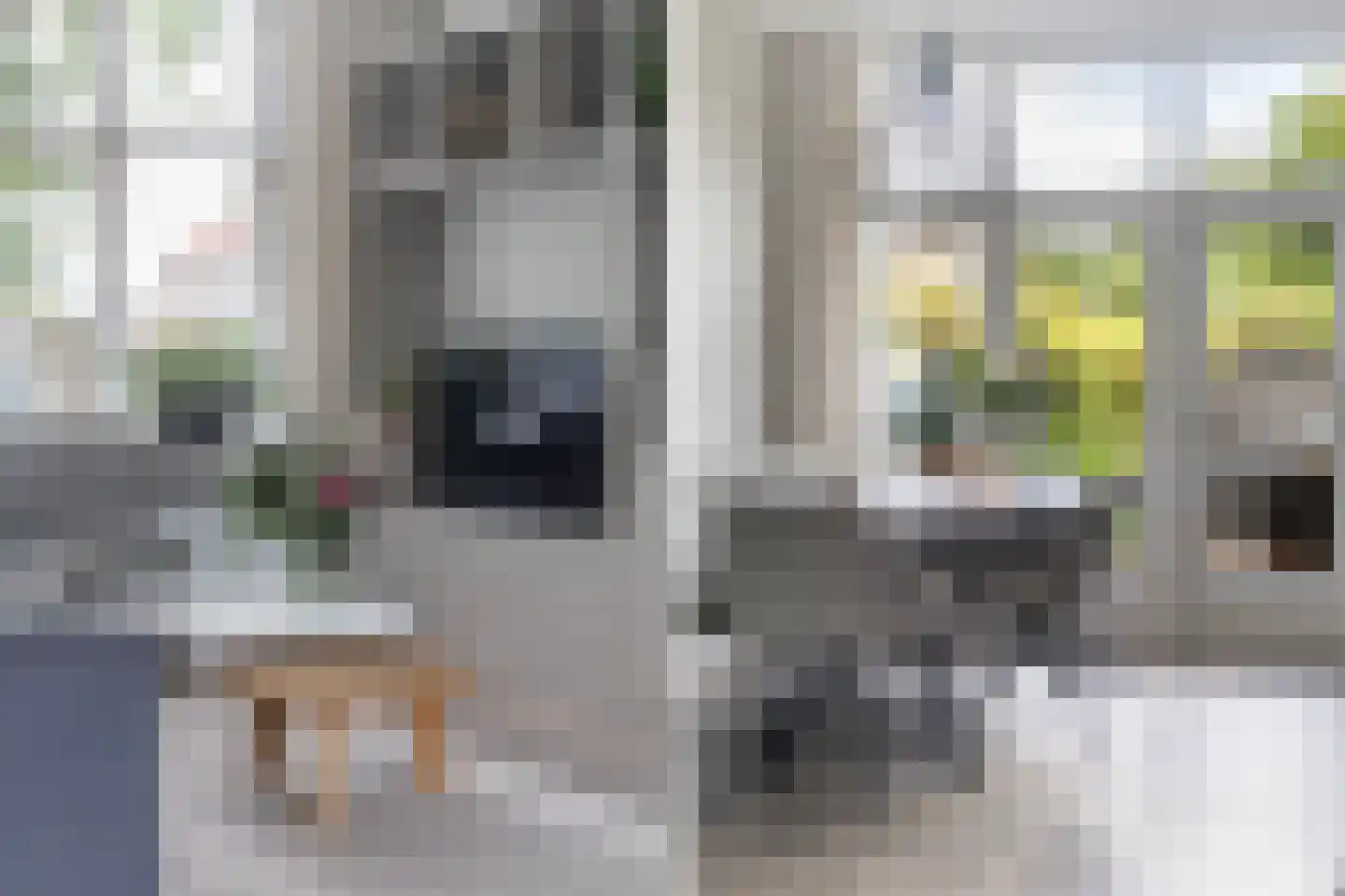 Roemer Visscherstraat 11 Zwolle thumbnail 10