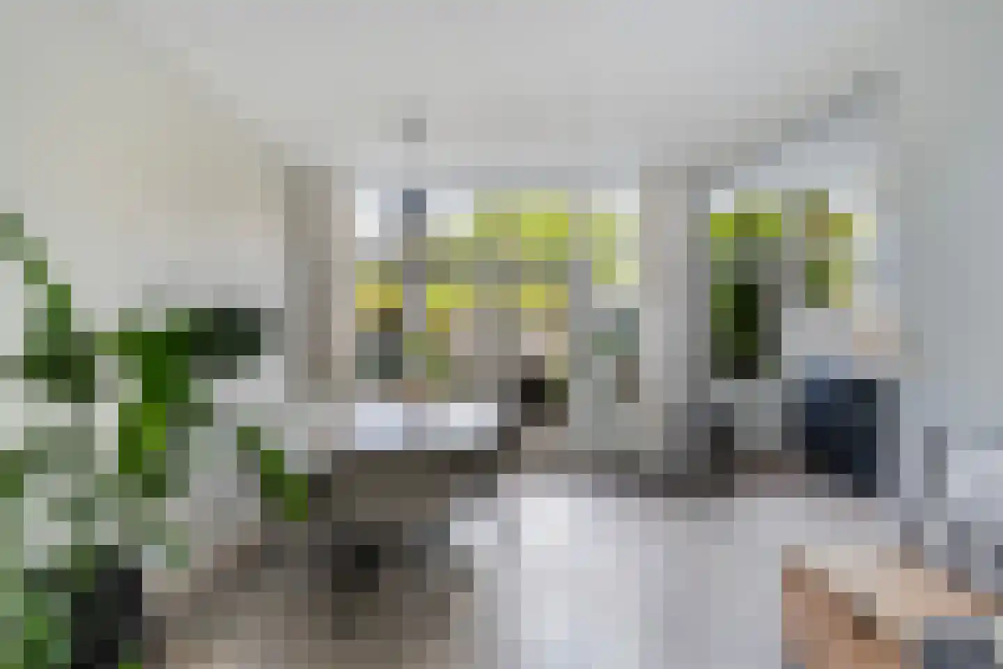 Roemer Visscherstraat 11 Zwolle thumbnail 11