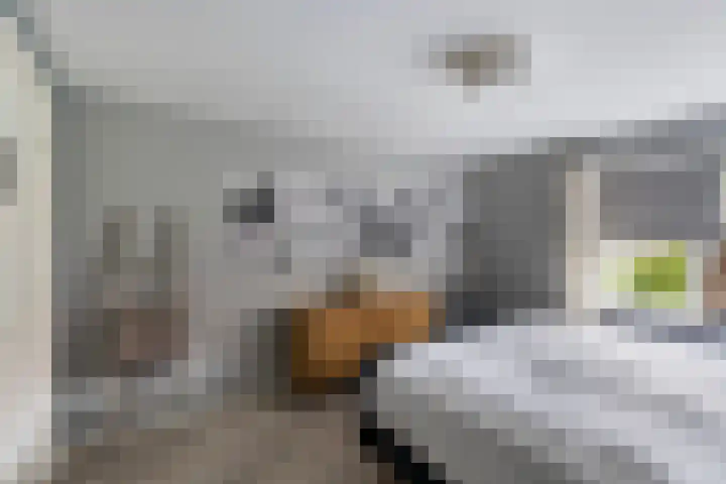 Roemer Visscherstraat 11 Zwolle thumbnail 17