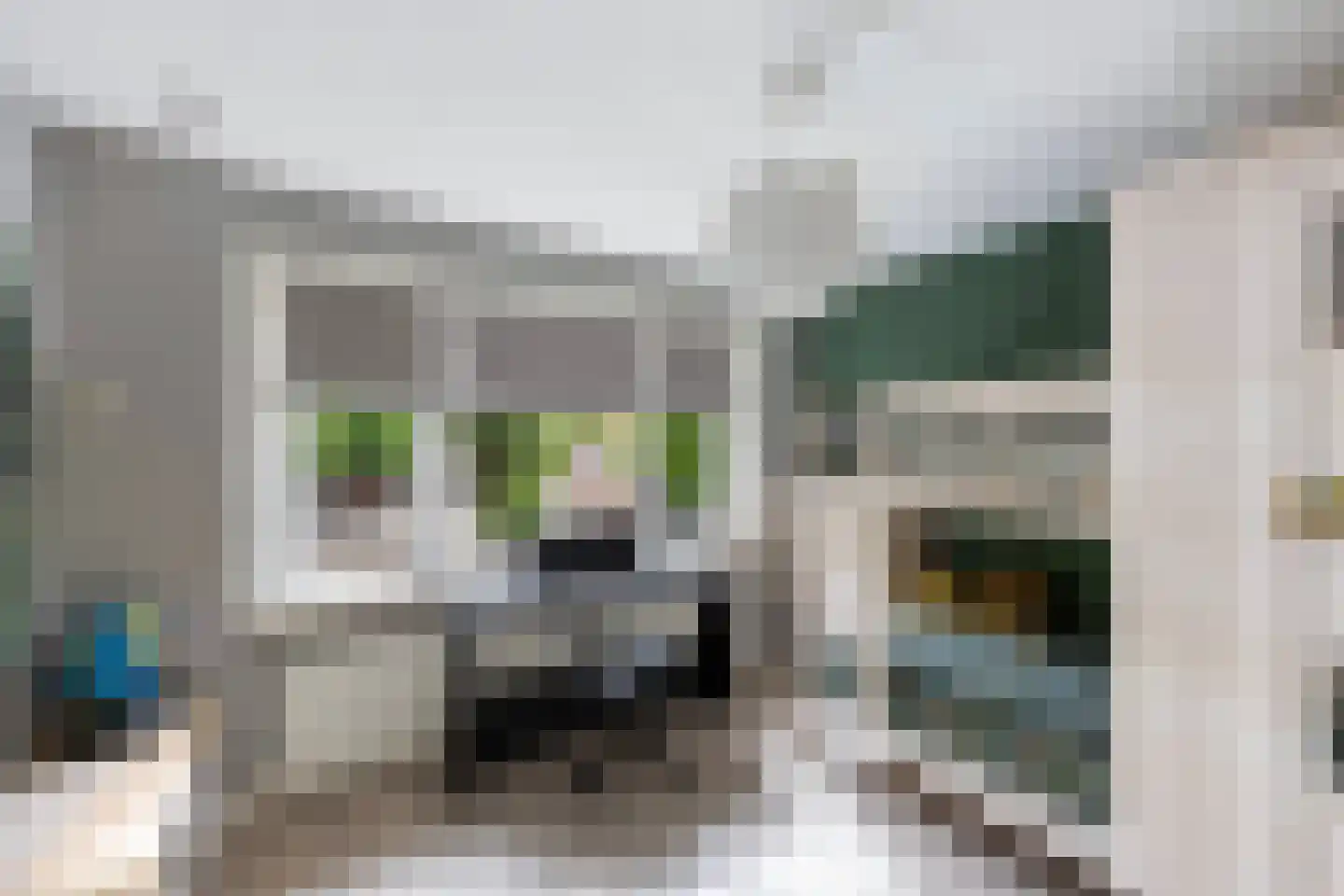 Roemer Visscherstraat 11 Zwolle thumbnail 18