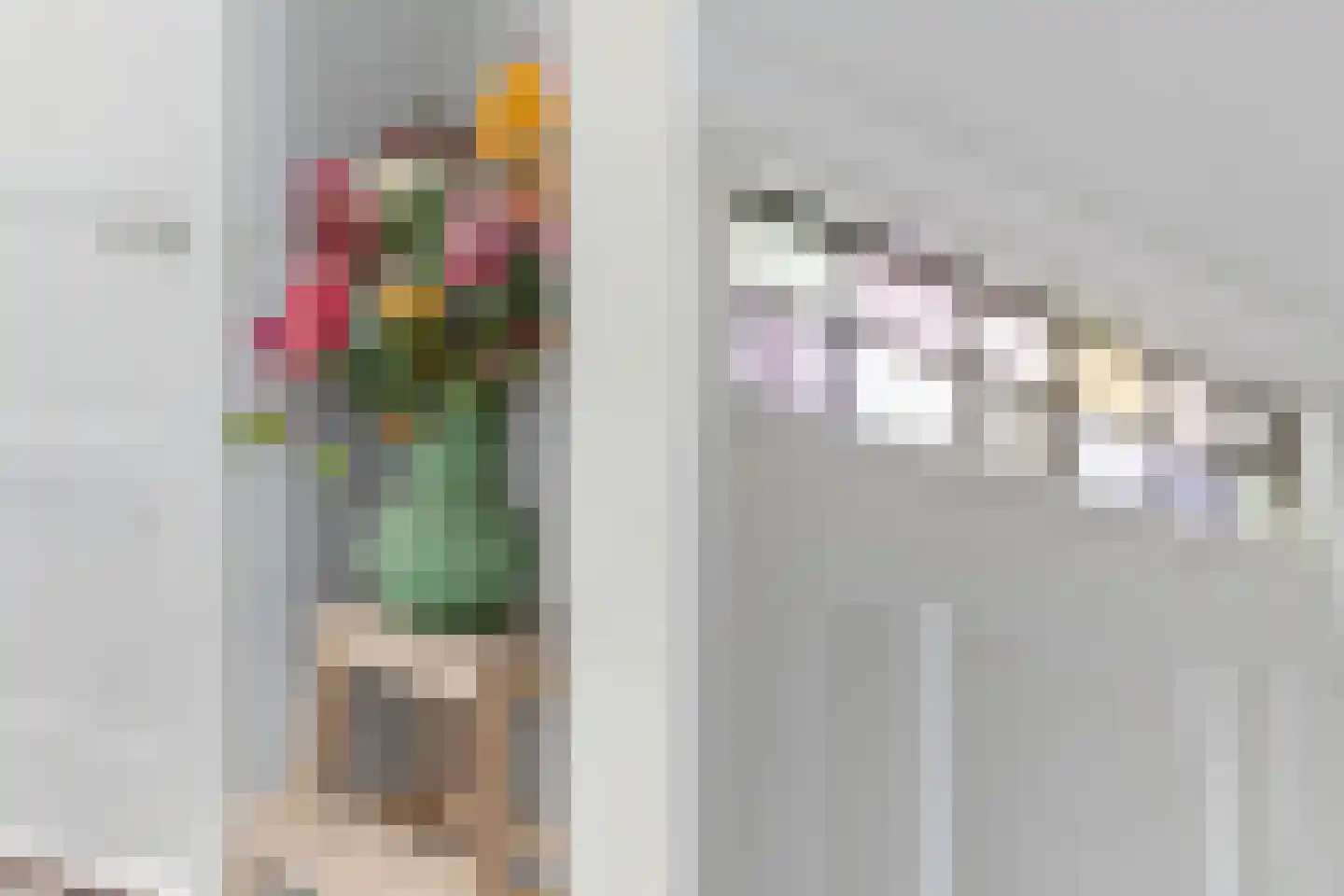 Roemer Visscherstraat 11 Zwolle thumbnail 20