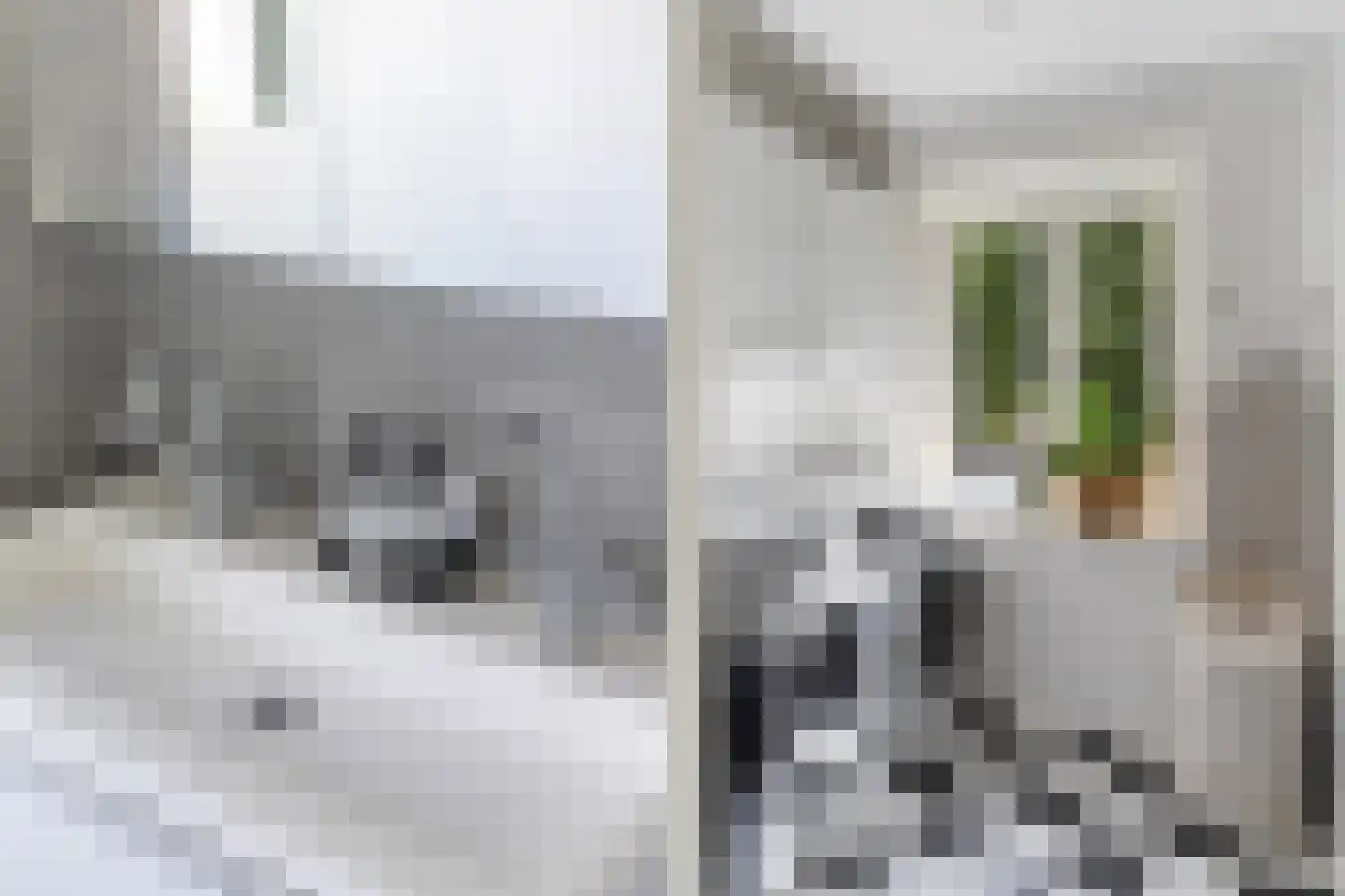 Roemer Visscherstraat 11 Zwolle thumbnail 23