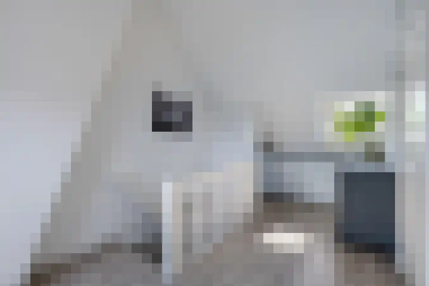 Roemer Visscherstraat 11 Zwolle thumbnail 24