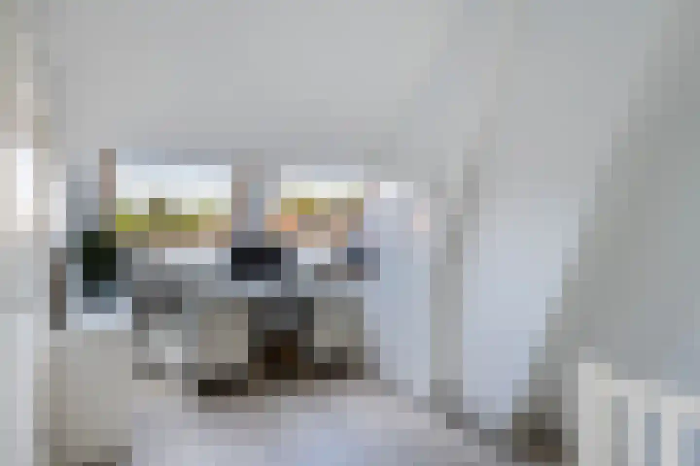 Roemer Visscherstraat 11 Zwolle thumbnail 25