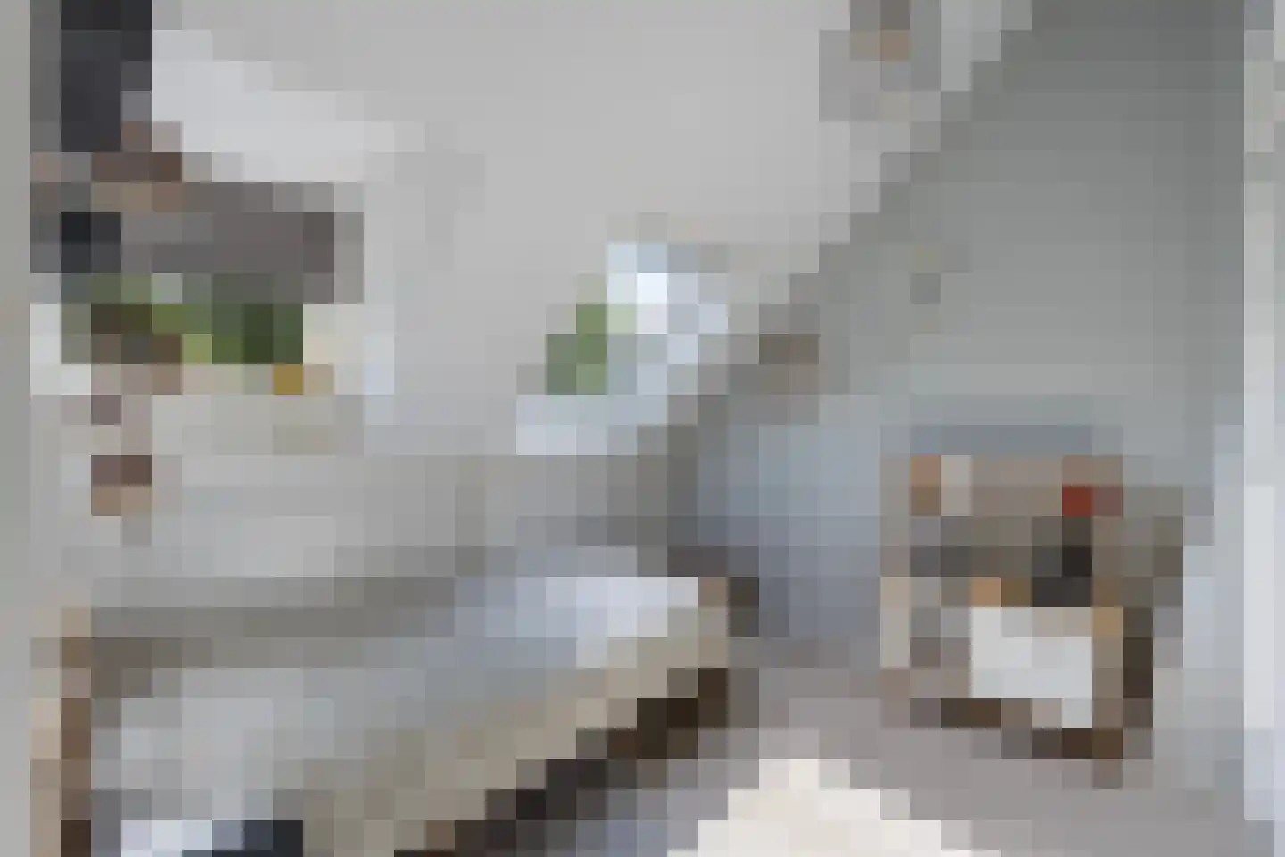 Roemer Visscherstraat 11 Zwolle thumbnail 26