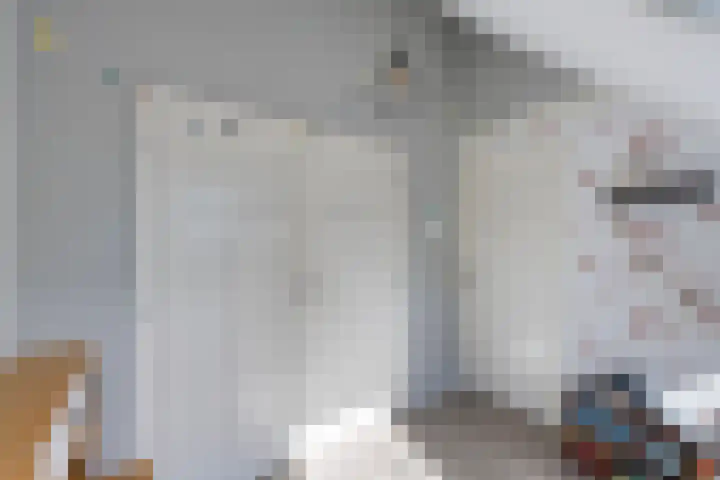 Roemer Visscherstraat 11 Zwolle thumbnail 27