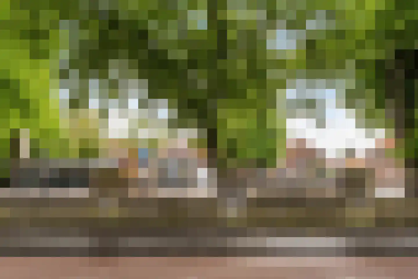 Roemer Visscherstraat 11 Zwolle thumbnail 33
