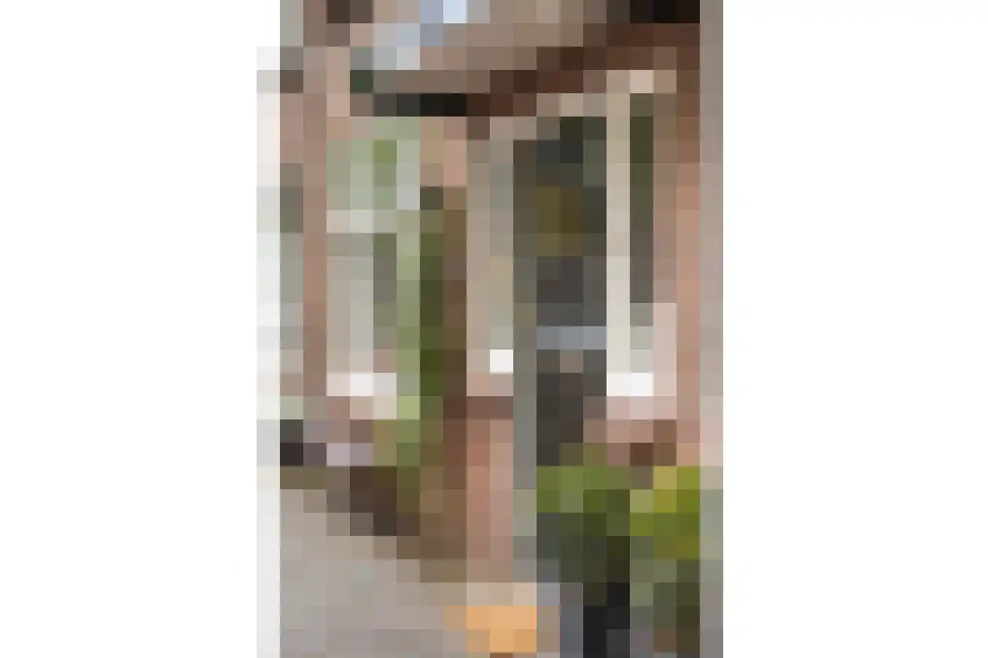 Roemer Visscherstraat 11 Zwolle thumbnail 4