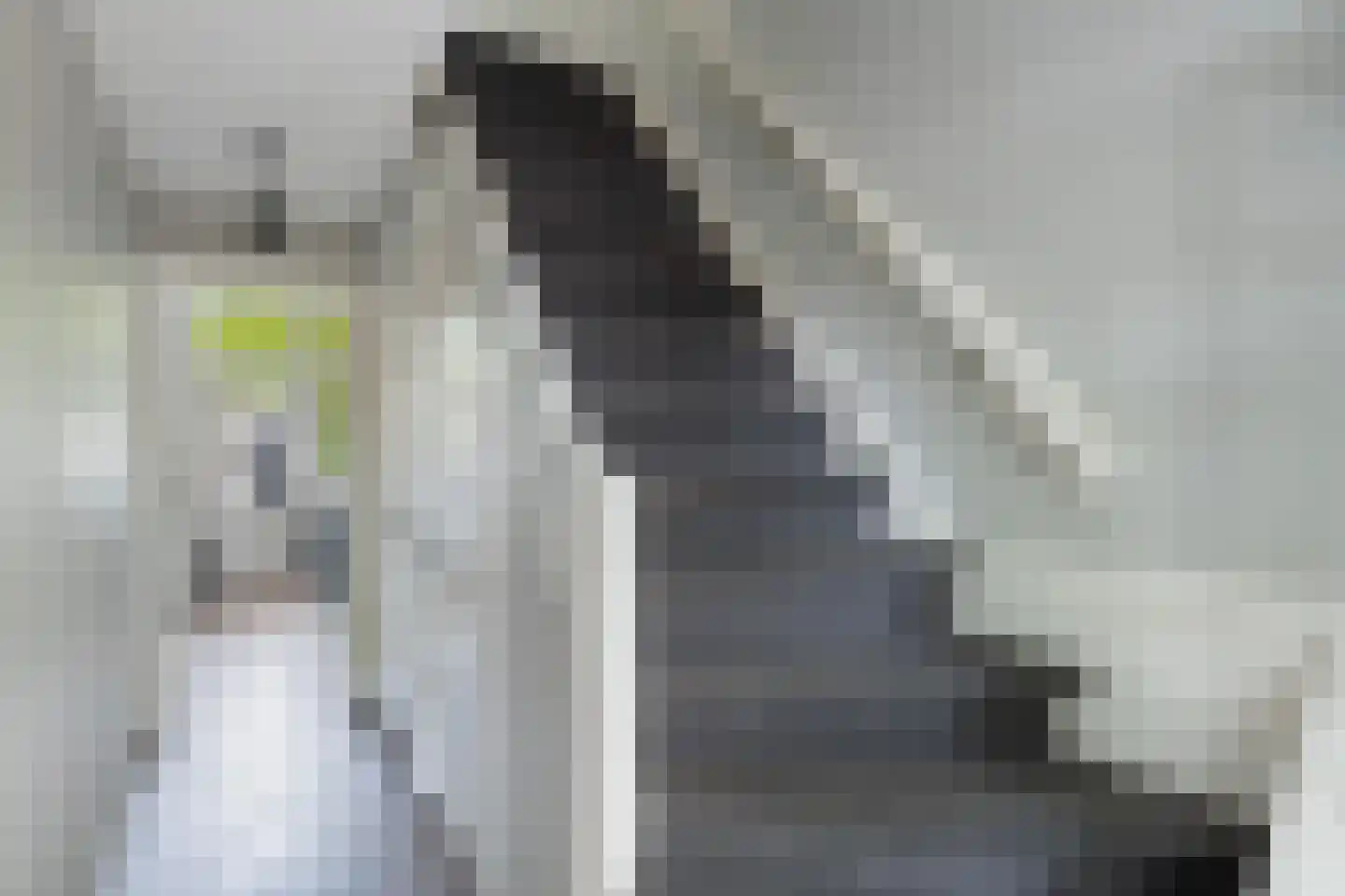 Roemer Visscherstraat 11 Zwolle thumbnail 6