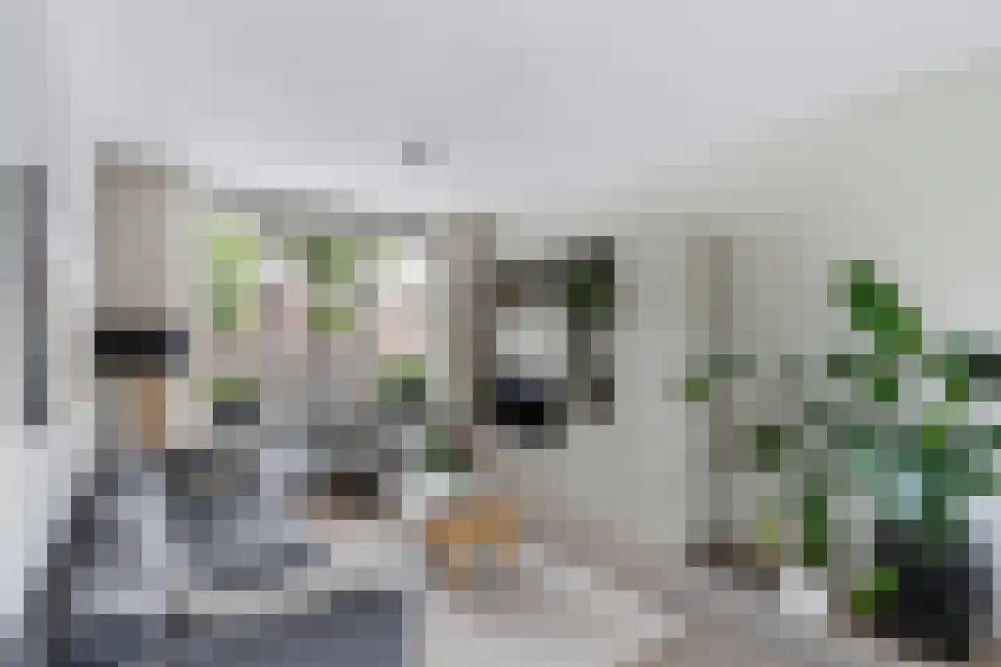 Roemer Visscherstraat 11 Zwolle thumbnail 7