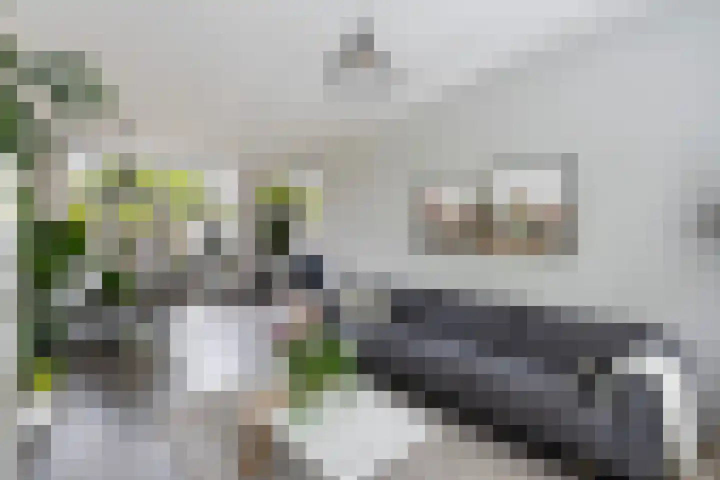 Roemer Visscherstraat 11 Zwolle thumbnail 8