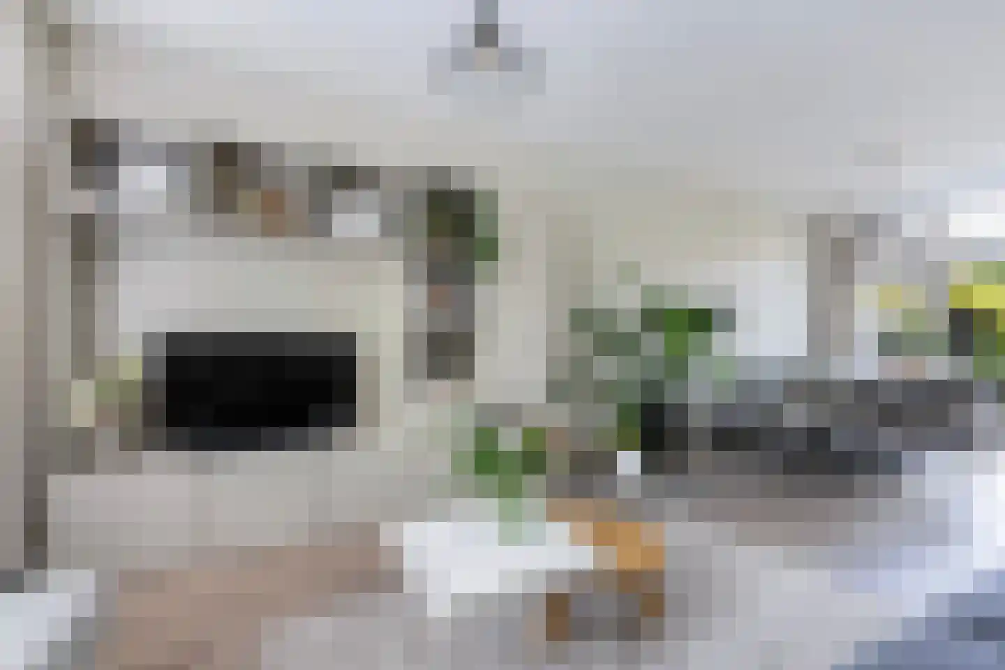 Roemer Visscherstraat 11 Zwolle thumbnail 9