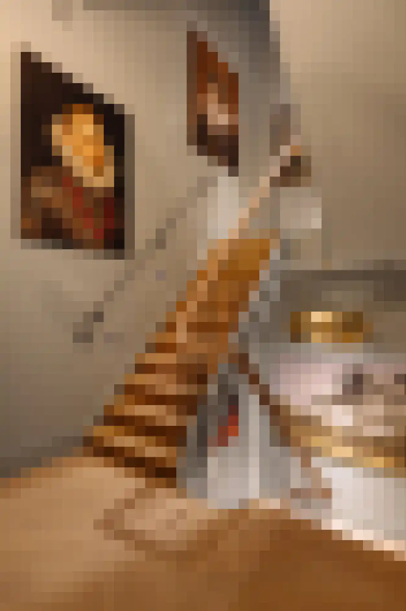 Roemer Visscherstraat 13 Amsterdam thumbnail 12