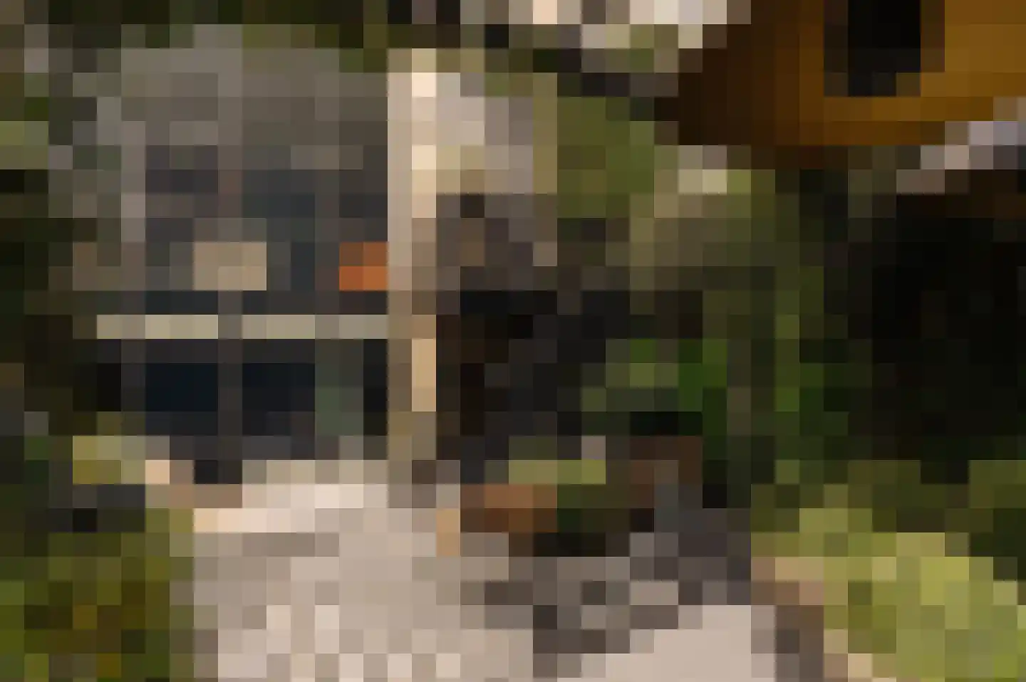 Roemer Visscherstraat 13 Amsterdam thumbnail 5