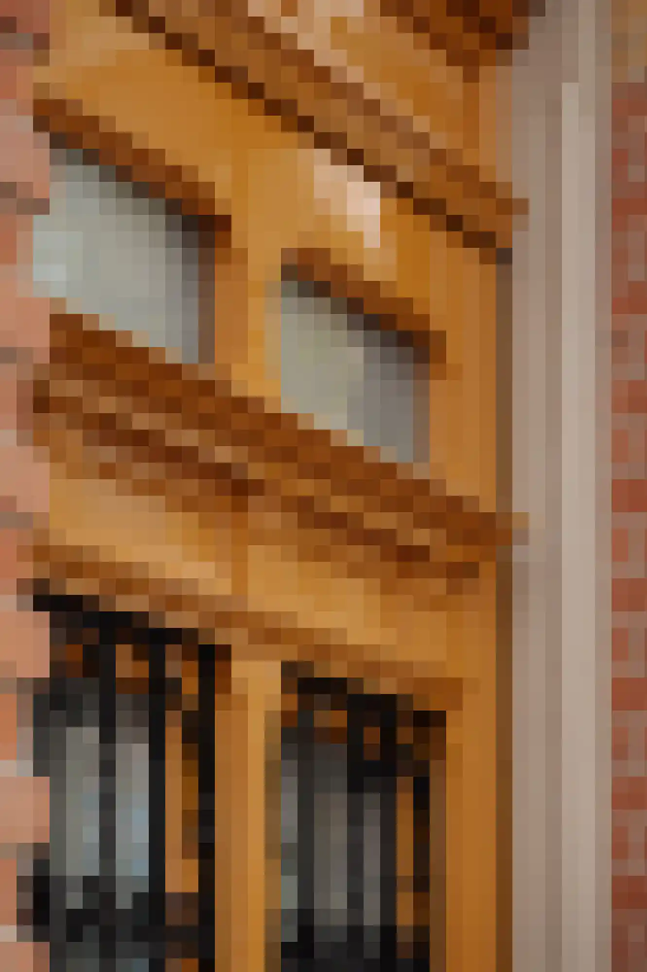 Roemer Visscherstraat 13 Amsterdam thumbnail 8