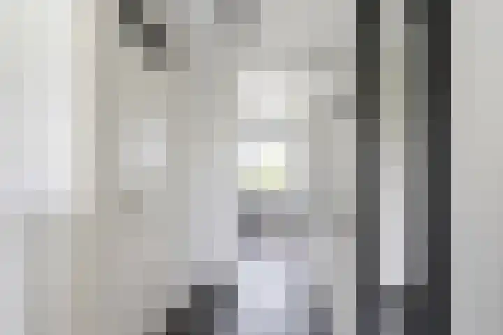 Roemer Visscherstraat 132 Vlaardingen thumbnail 16