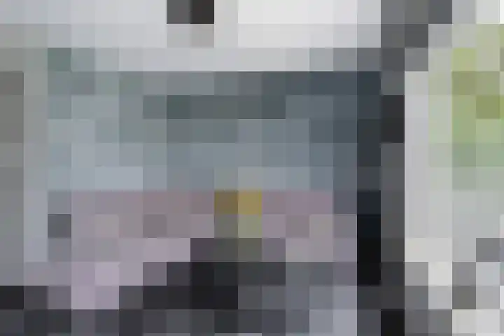 Roemer Visscherstraat 132 Vlaardingen thumbnail 5