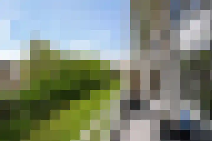 Roemer Visscherstraat 132 Vlaardingen thumbnail 7