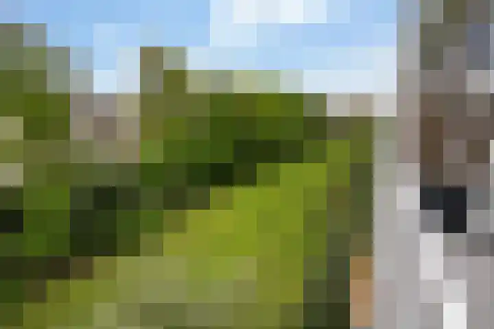 Roemer Visscherstraat 132 Vlaardingen thumbnail 8