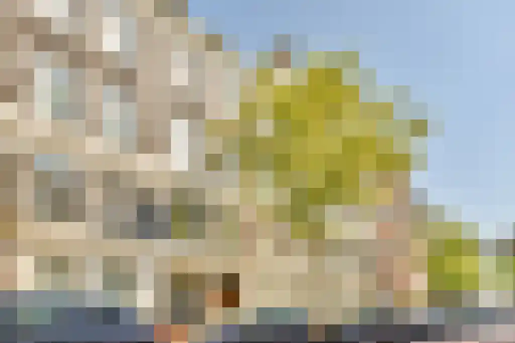 Roemer Visscherstraat 14 2 Amsterdam thumbnail 5