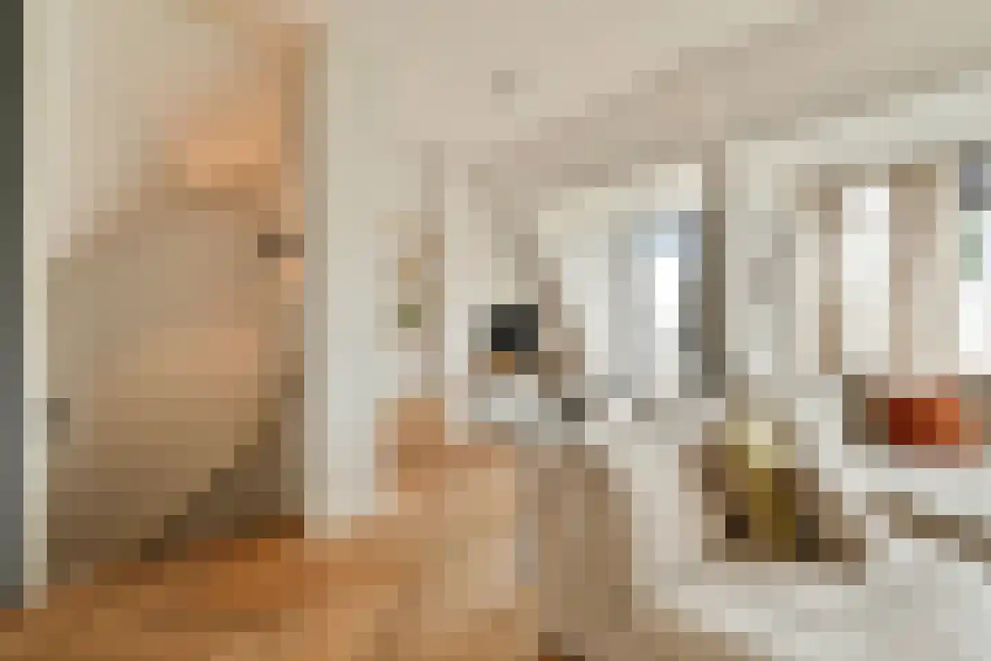 Roemer Visscherstraat 14 4 Amsterdam thumbnail 13
