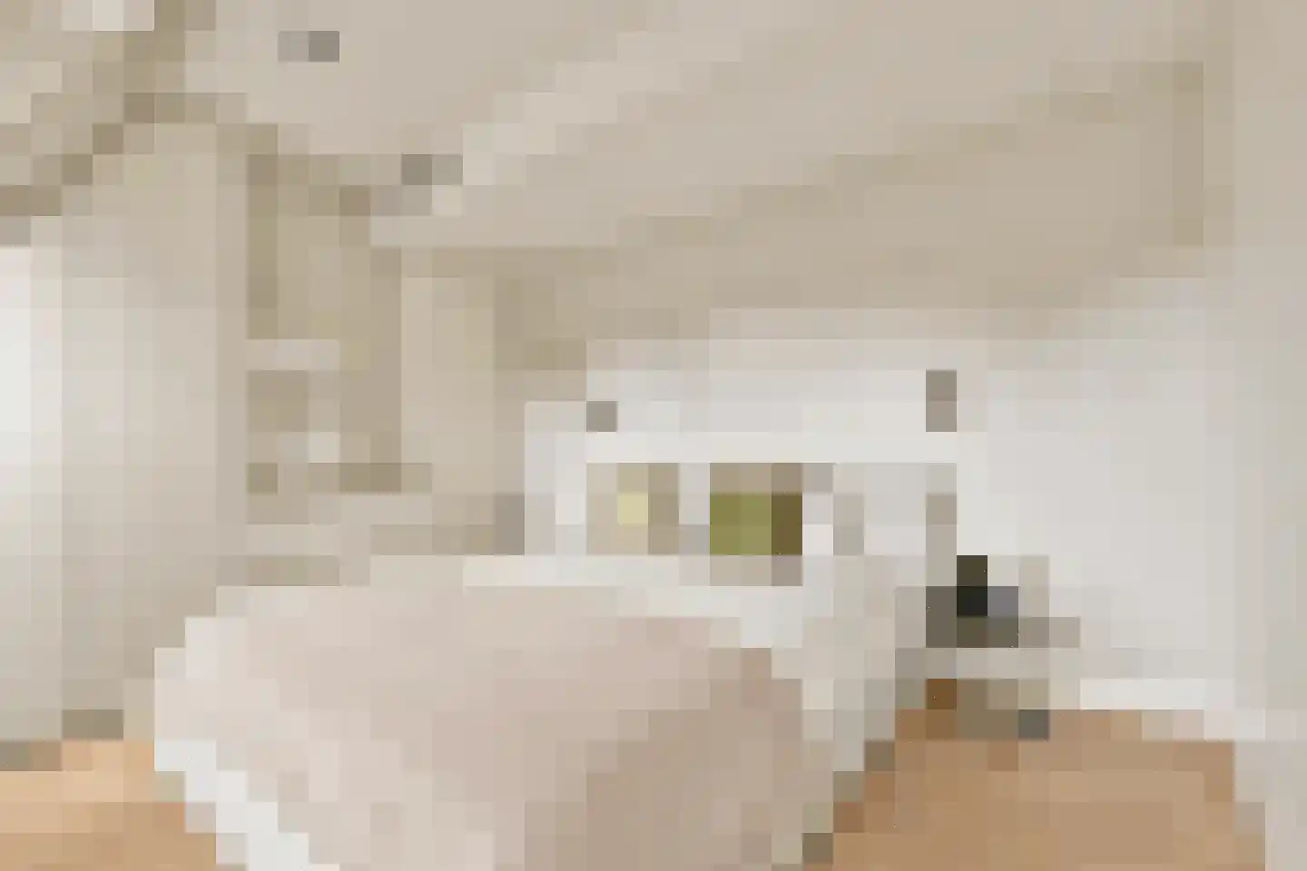 Roemer Visscherstraat 14 4 Amsterdam thumbnail 24