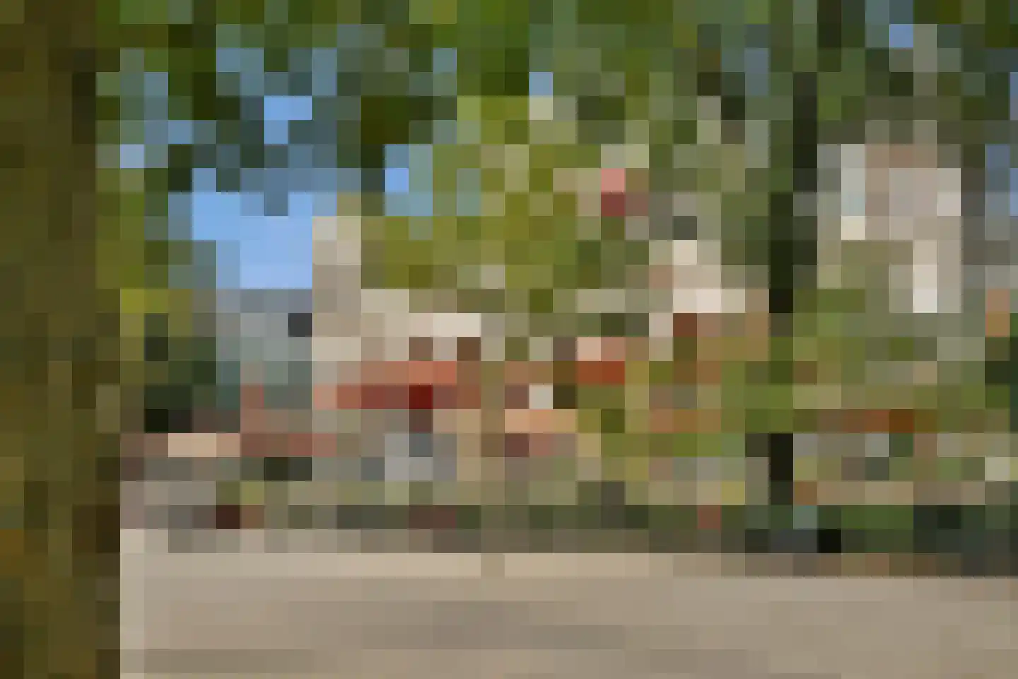 Roemer Visscherstraat 14 4 Amsterdam thumbnail 43